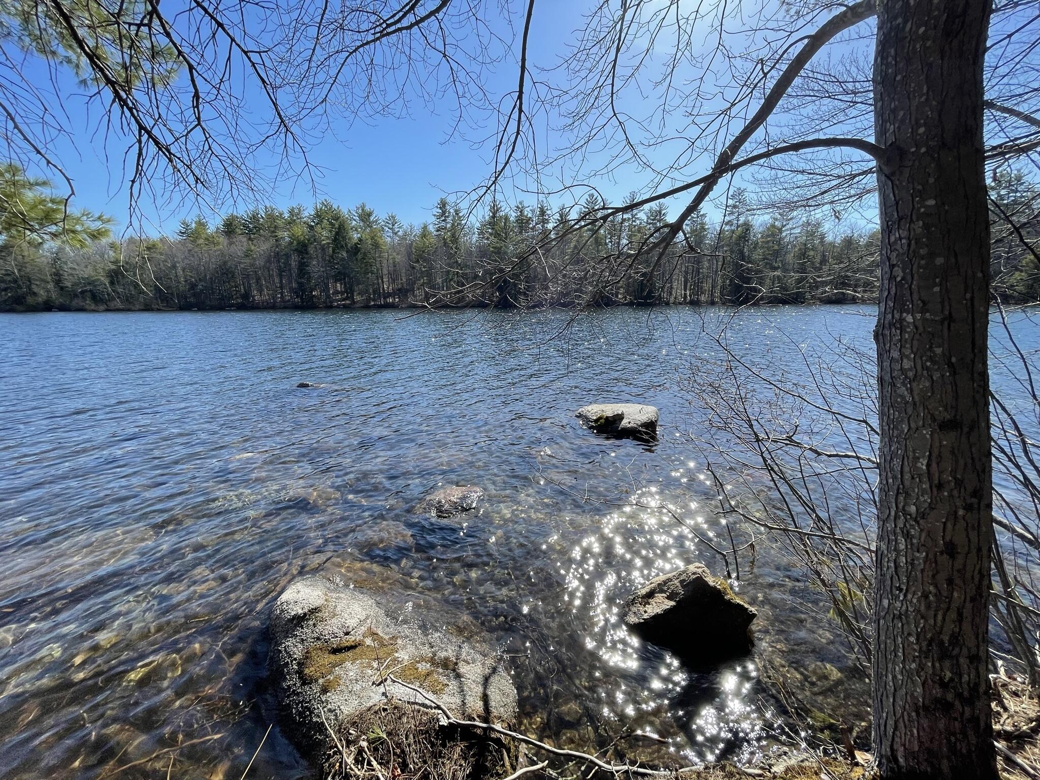 5 A Lake House Road Naples, ME 04055 - Photo 1 of 26 IMG_6485