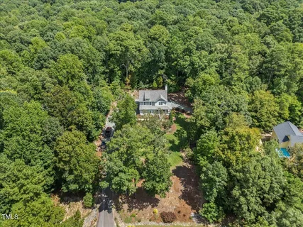a view of a garden with a tree
