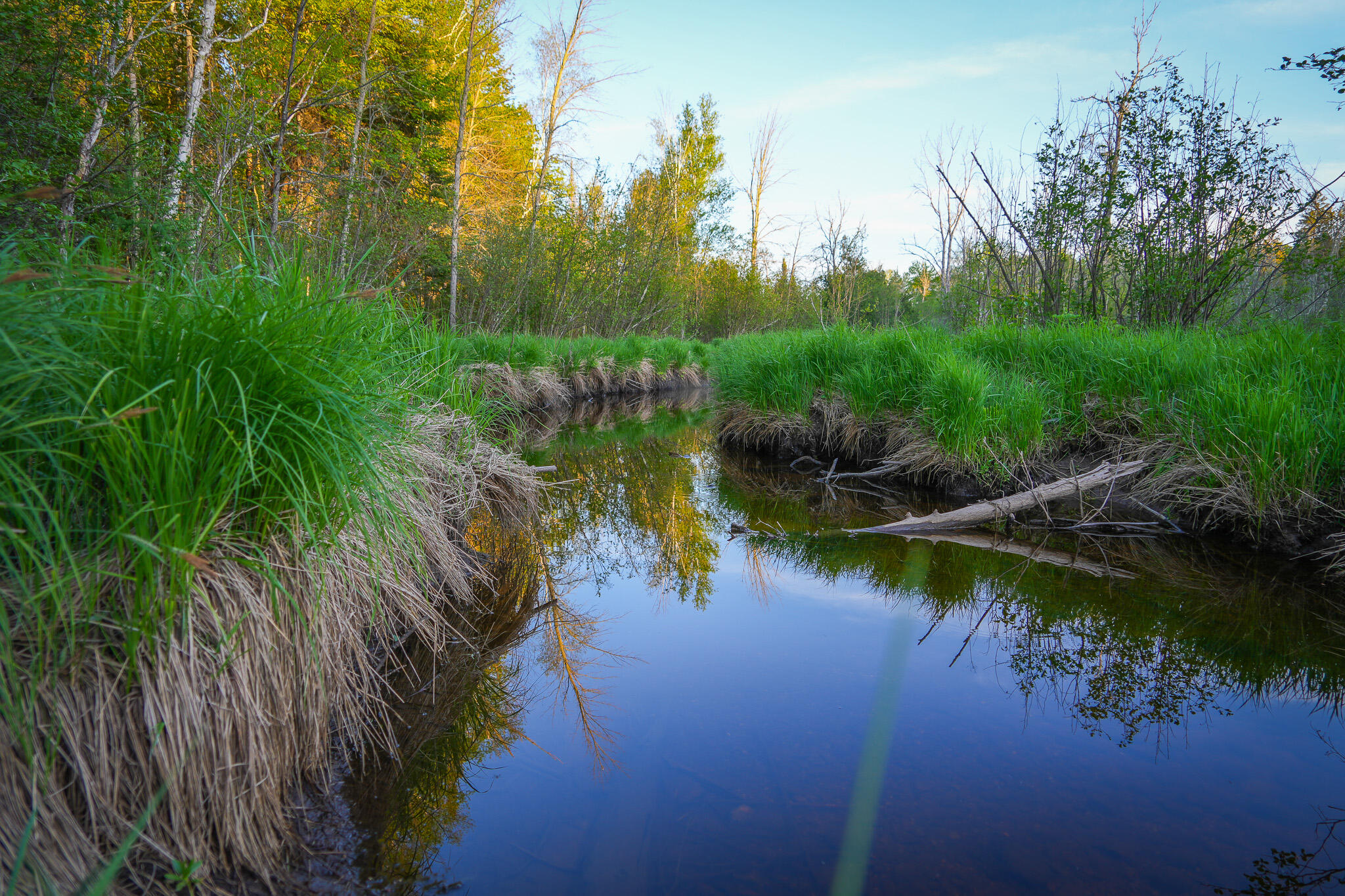 V/l V/l 33rd Road Perkins, MI 49872 - Photo 37 of 70 DSC00102