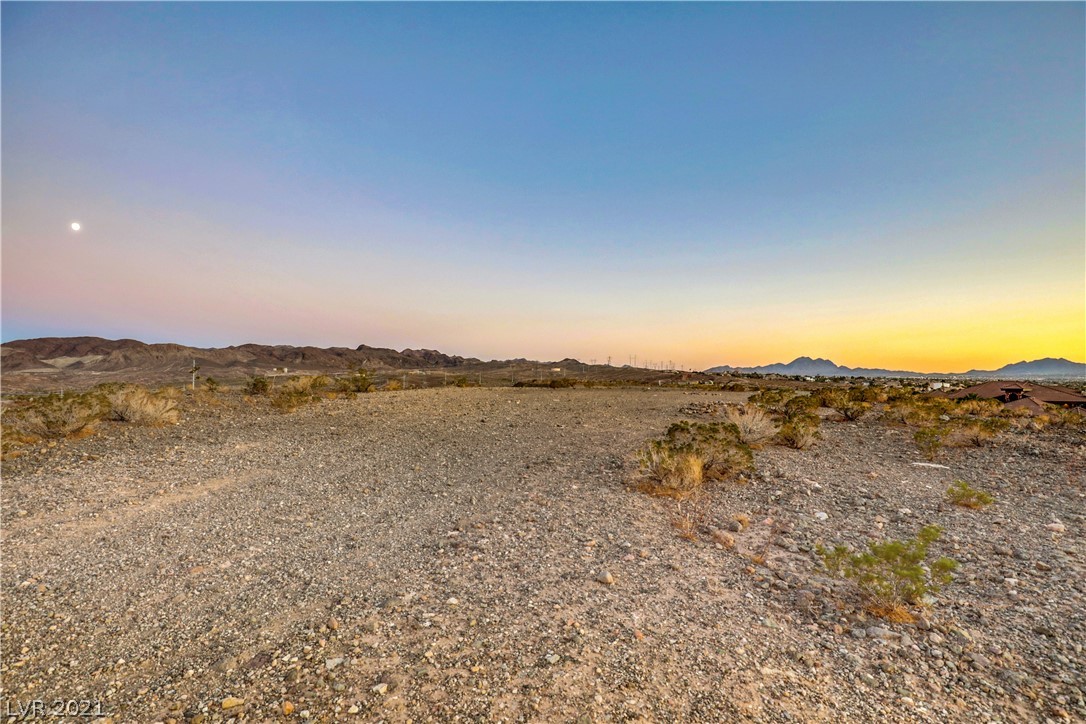 1005 Feather Point Court Henderson, NV 89011 - Photo 36 of 47