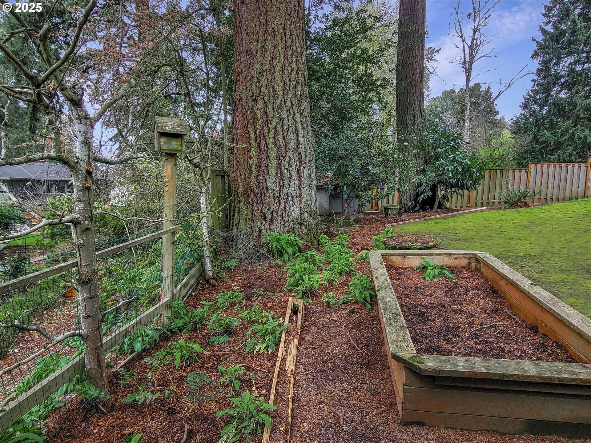 764 10th Street Lake Oswego, OR 97034 - Photo 37 of 41 a view of a backyard with wooden fence