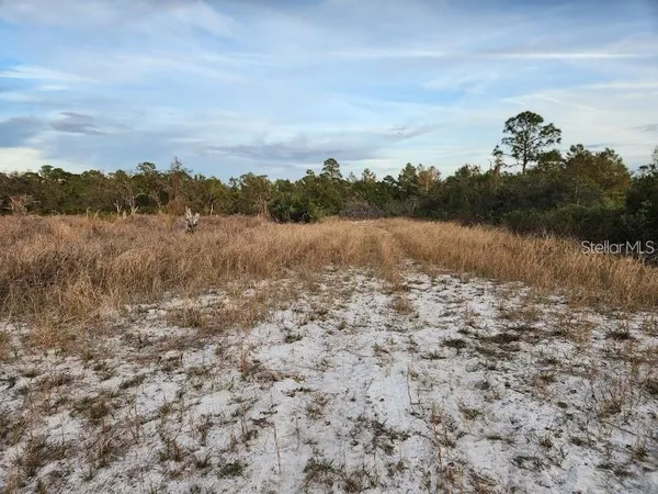 a view of a field with trees in the background