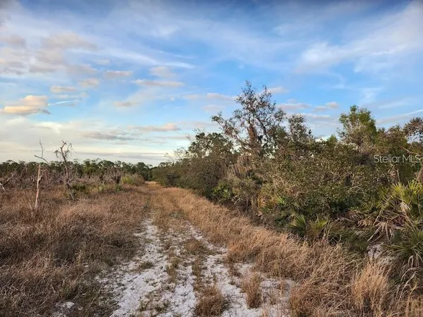 a view of a yard with a tree