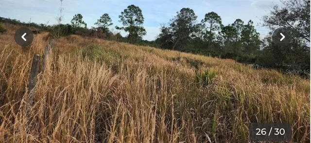 a view of a street with a trees in the background