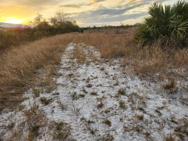 a close up of a wall