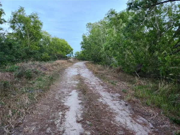 a view of a dry yard with lots of green space