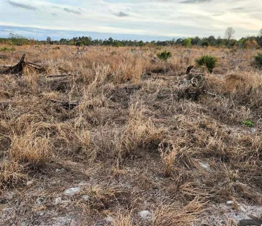 a view of an ocean beach