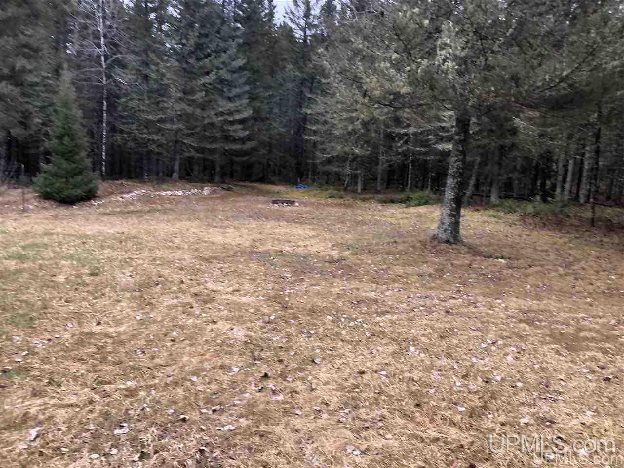 Tbd Turner Road Channing, MI 49815 - Photo 3 of 42
