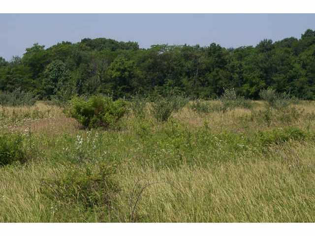 0 Shoemaker Road, Unit LOT 6 Circleville, OH 43113 - Photo 3 of 3