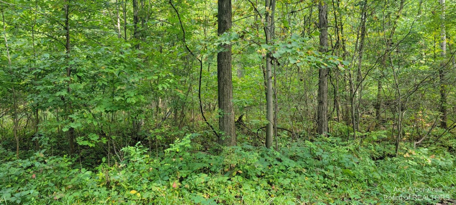 4703 Jacobs Road Perry, MI 48872 - Photo 53 of 69 Photo 53