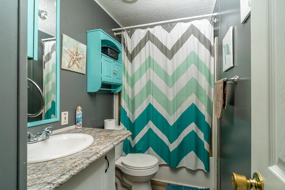 1271 Union Church Road Churchville, VA 24421 - Photo 16 of 46 a bathroom with a sink and mirror with toilet