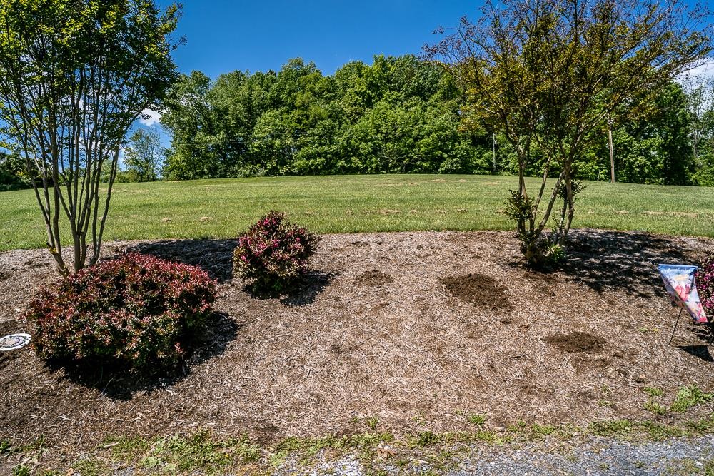 1271 Union Church Road Churchville, VA 24421 - Photo 29 of 46 a view of a pathway with a yard