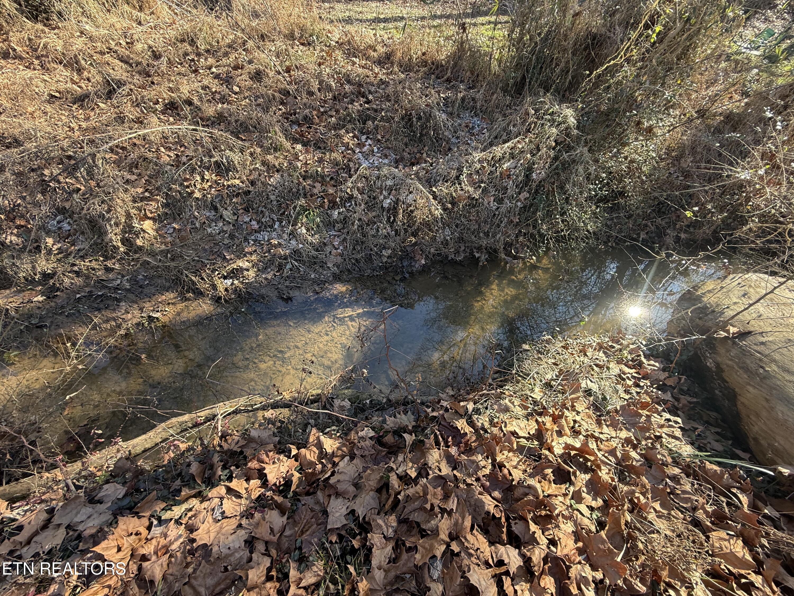 2616 Maloney Road Knoxville, TN 37920 - Photo 8 of 26 Flenniken Creek