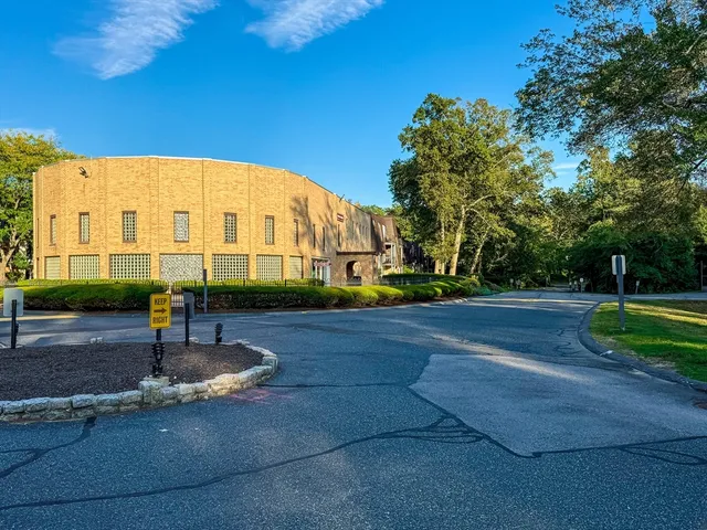 a view of yard with large trees