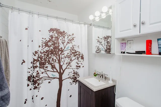 a bathroom with a sink vanity mirror and shower