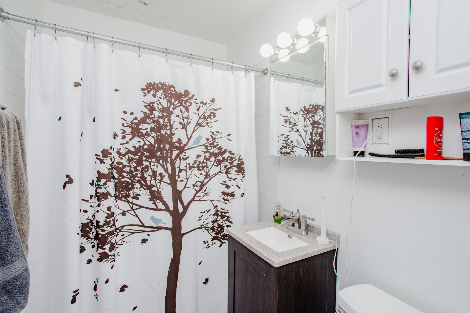 106 Woodcrest Circle Streamwood, IL 60107 - Photo 16 of 29 a bathroom with a sink vanity mirror and shower