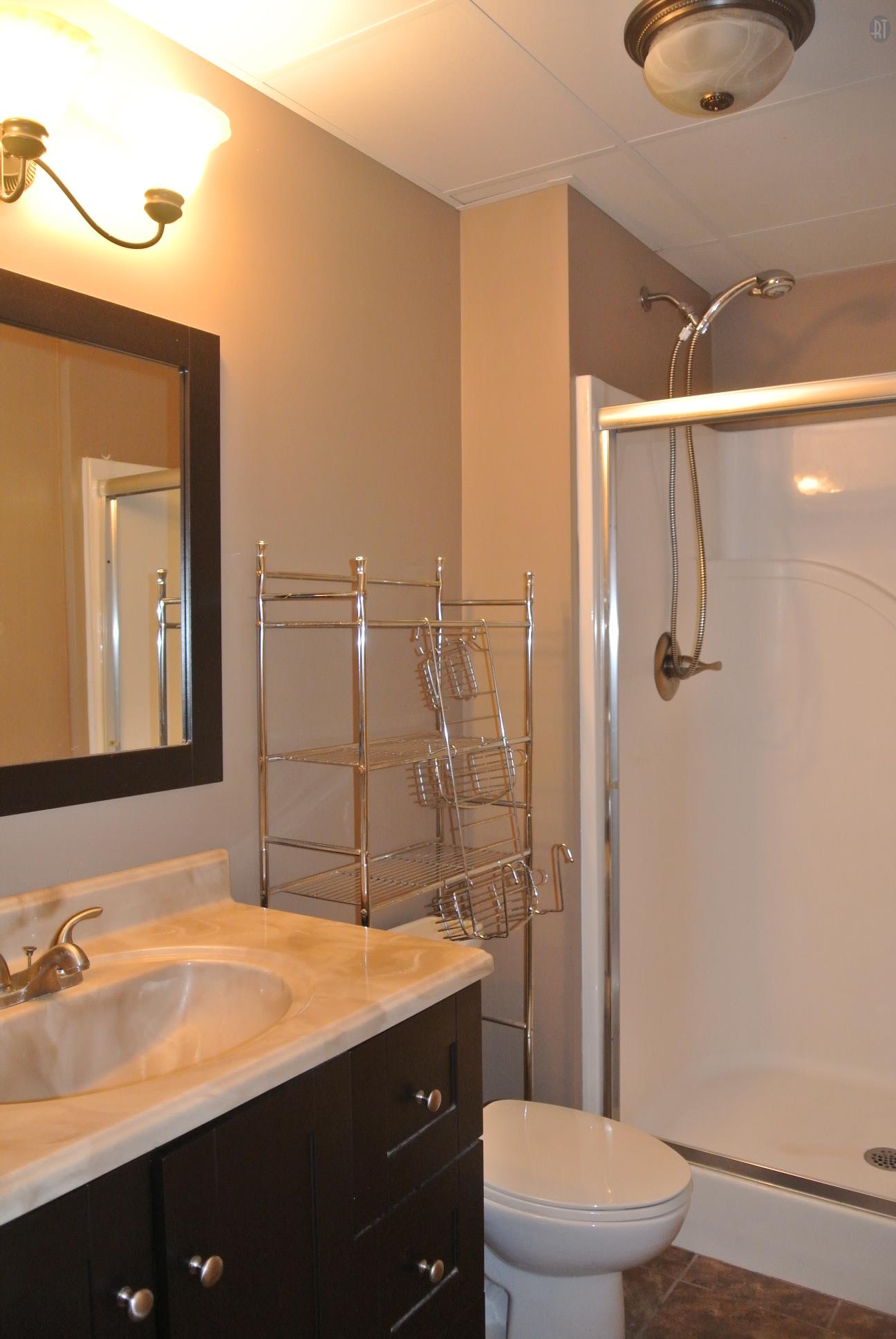 3559 Rabbit Run Trail Clarksville, TN 37043 - Photo 23 of 29 FULL BATH IN BASEMENT