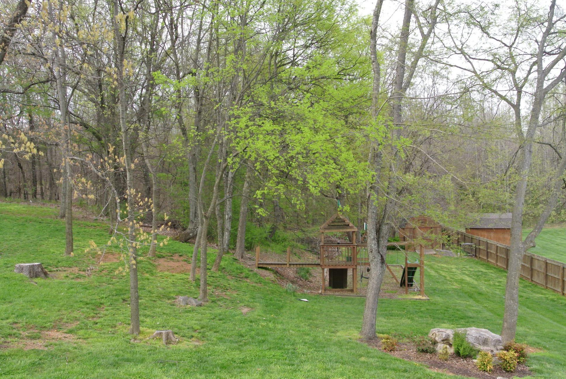 3559 Rabbit Run Trail Clarksville, TN 37043 - Photo 26 of 29 VIEW OF THE YARD FROM THE DECK