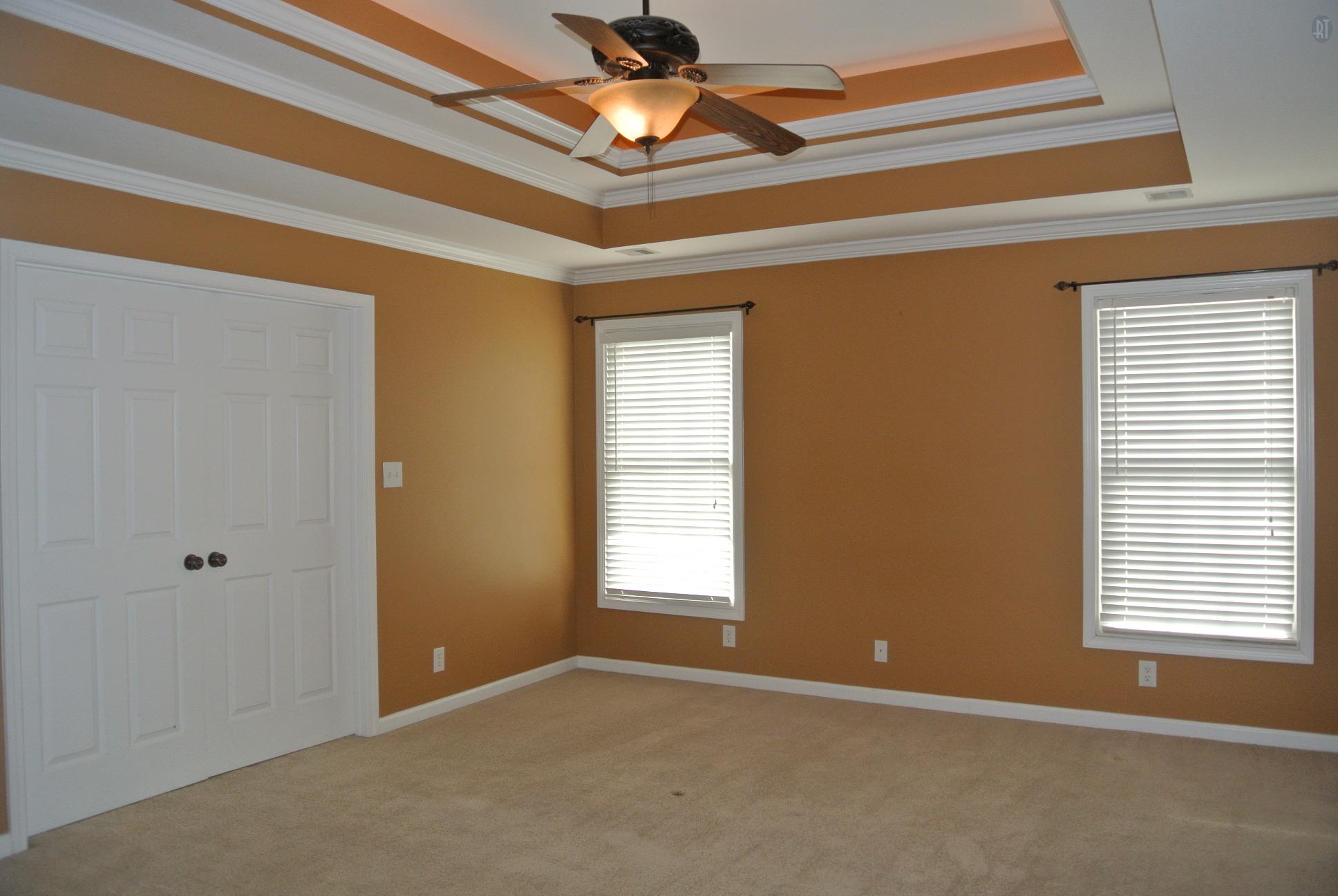 3559 Rabbit Run Trail Clarksville, TN 37043 - Photo 9 of 29 MASTER SUITE W/ TRAY CEILING