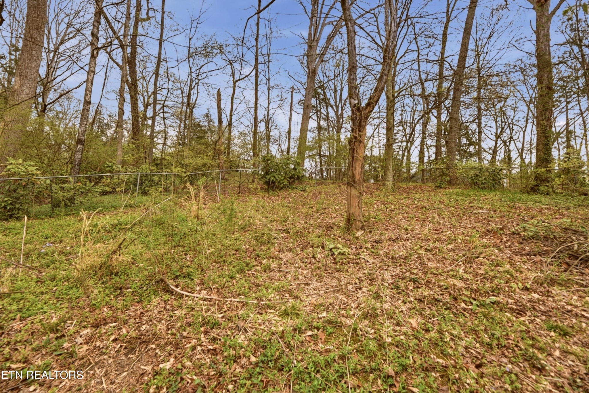 107 Dale Road Norris, TN 37828 - Photo 26 of 28 Gallery Image 26