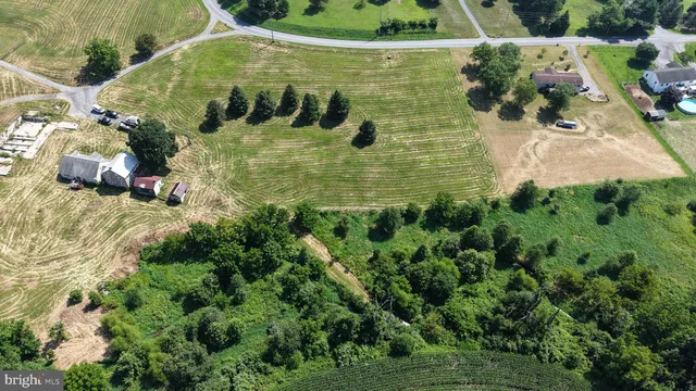a view of a garden with a fountain