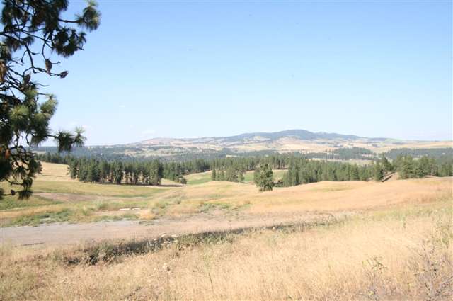 0 Stentz Road, Unit LOT 2 Spangle, WA 99031 - Photo 1 of 6