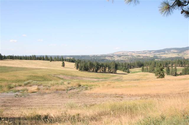 0 Stentz Road, Unit LOT 2 Spangle, WA 99031 - Photo 4 of 6