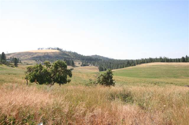 0 Stentz Road, Unit LOT 2 Spangle, WA 99031 - Photo 5 of 6