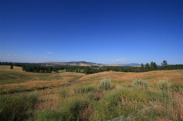 0 Stentz Road, Unit LOT 2 Spangle, WA 99031 - Photo 6 of 6