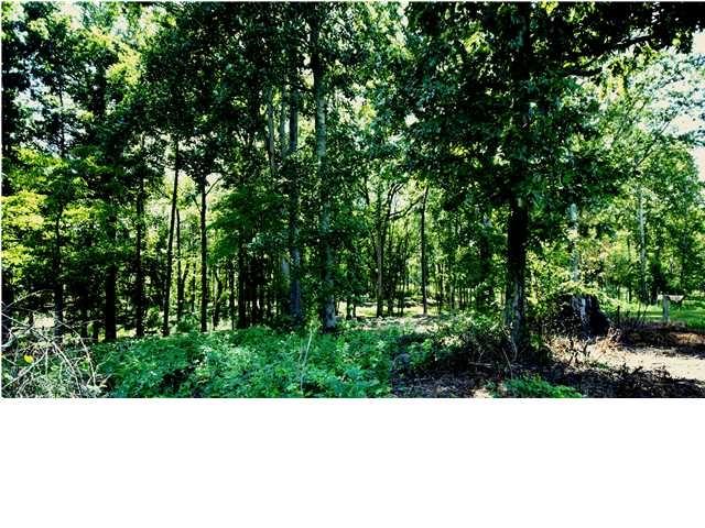 0 Bancroft Road, Unit A McDonald, TN 37353 - Photo 1 of 6 1216159_2793719