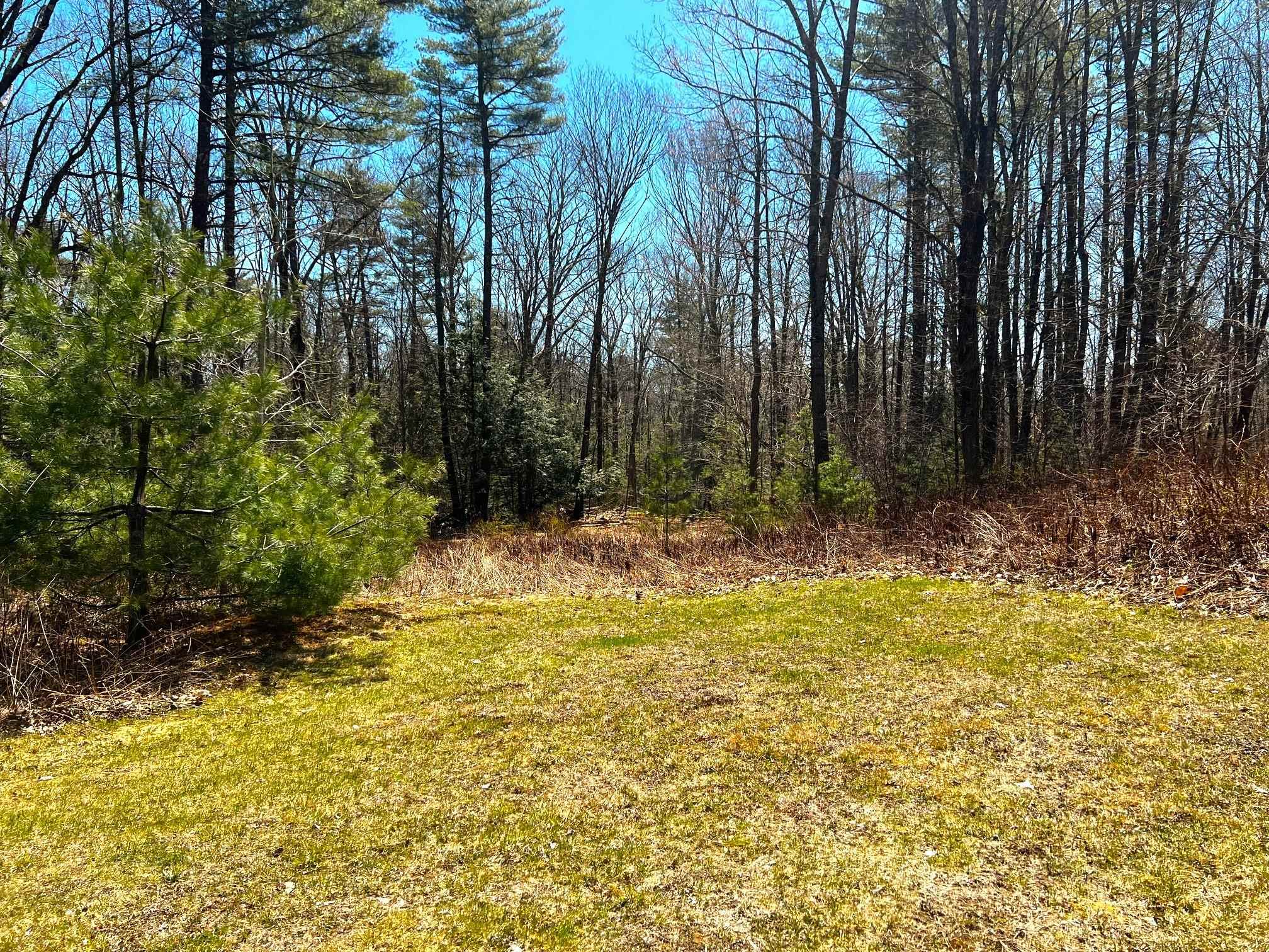 208 Breed Road Harrisville, NH 03450 - Photo 29 of 36