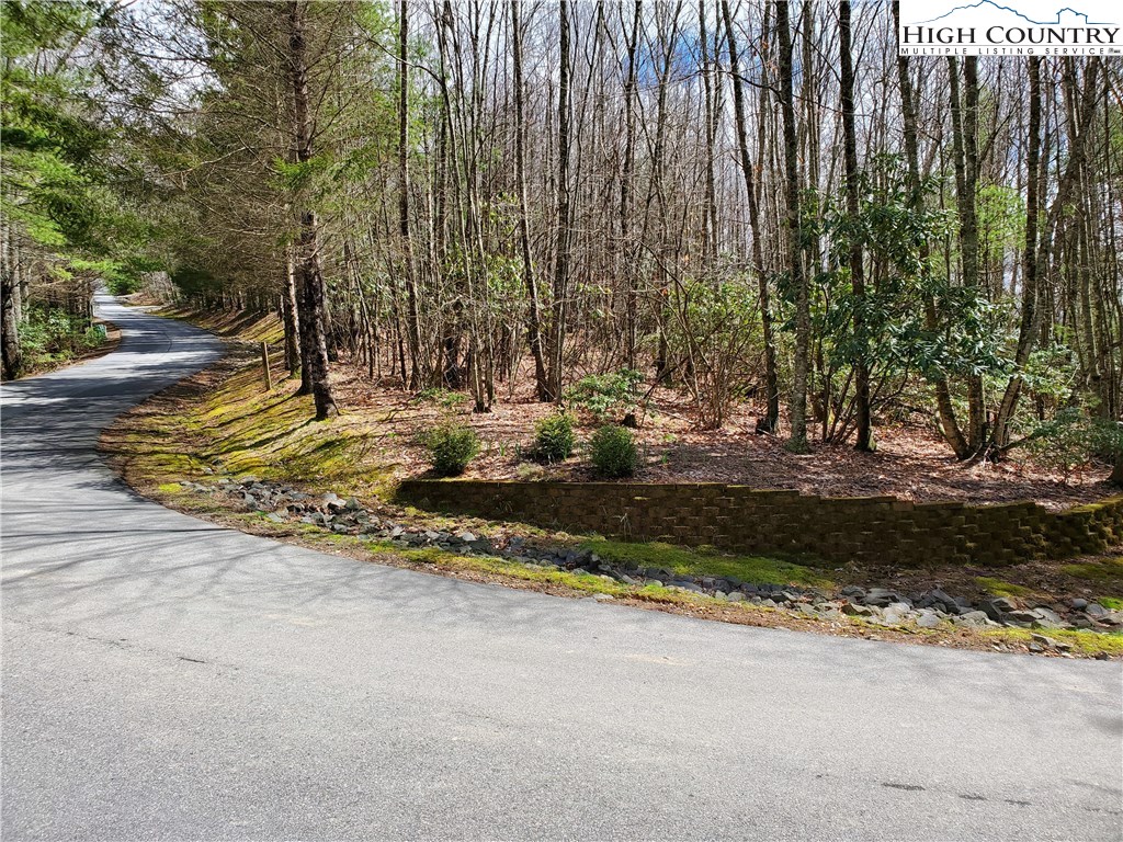 Lot 1 River Ridge Road Boone, NC 28607 - Photo 1 of 9 Gallery Image 1