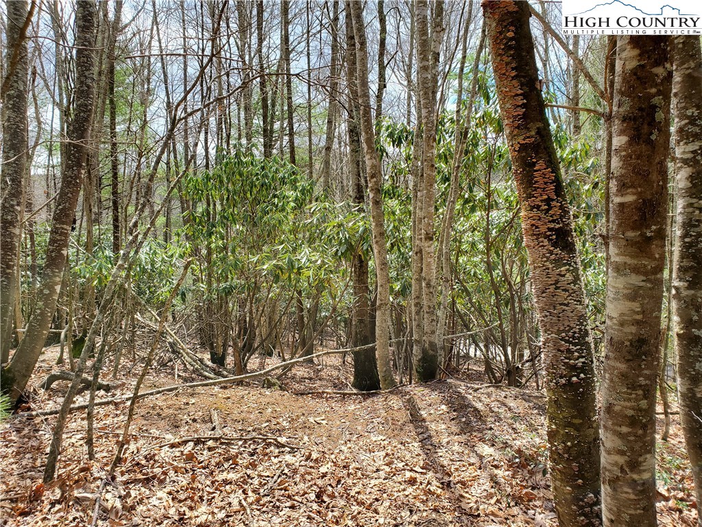 Lot 1 River Ridge Road Boone, NC 28607 - Photo 2 of 9 Gallery Image 2