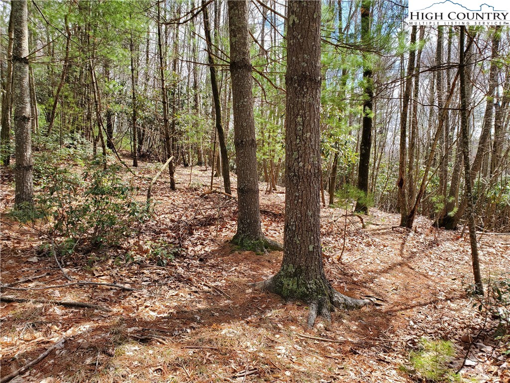 Lot 1 River Ridge Road Boone, NC 28607 - Photo 3 of 9 Gallery Image 3