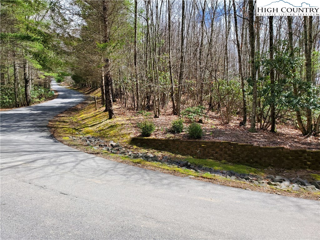 Lot 1 River Ridge Road Boone, NC 28607 - Photo 4 of 9 Gallery Image 4