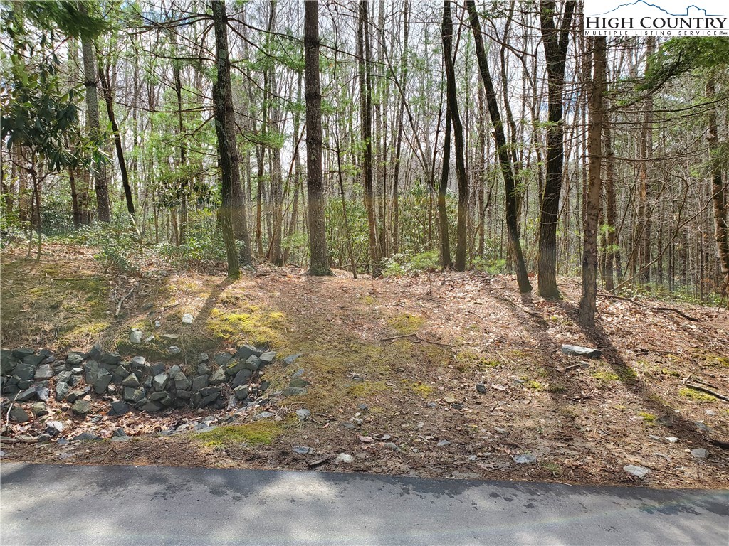 Lot 1 River Ridge Road Boone, NC 28607 - Photo 5 of 9 Gallery Image 5