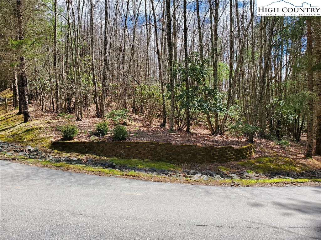 Lot 1 River Ridge Road Boone, NC 28607 - Photo 6 of 9 Gallery Image 6