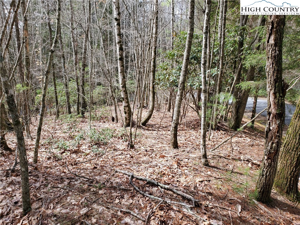 Lot 1 River Ridge Road Boone, NC 28607 - Photo 7 of 9 Gallery Image 7