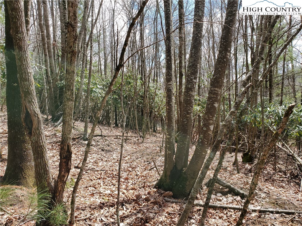 Lot 1 River Ridge Road Boone, NC 28607 - Photo 8 of 9 Gallery Image 8