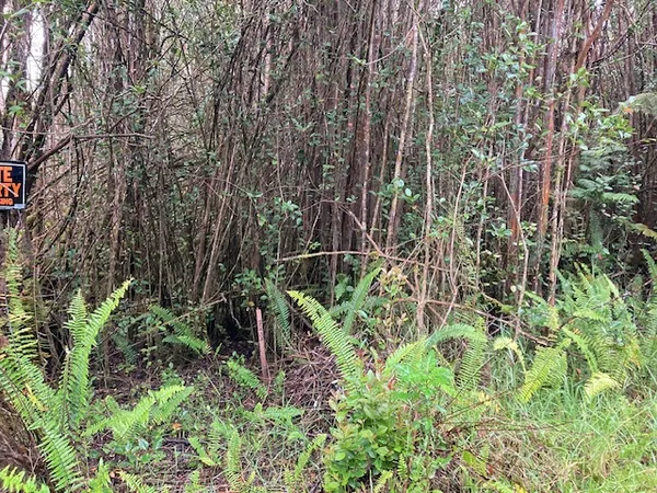 $21,500 | 287 Road 5 Volcano Hi 96785, Mountain View, HI 96771