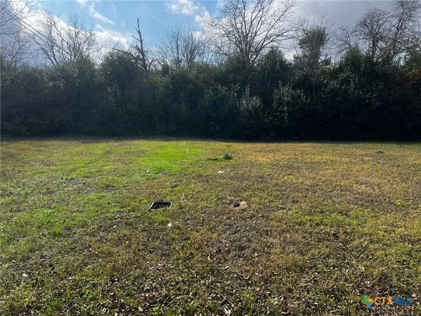 a view of a yard