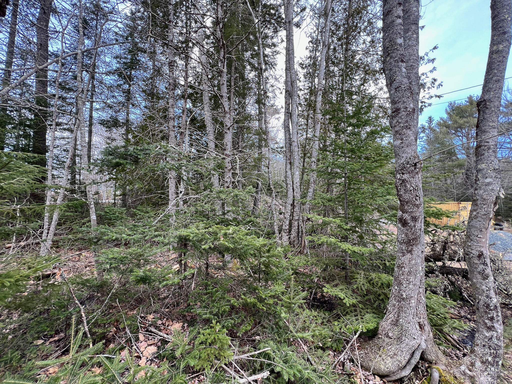 39 Farm Edge Road Sullivan, ME 04664 - Photo 11 of 17 11