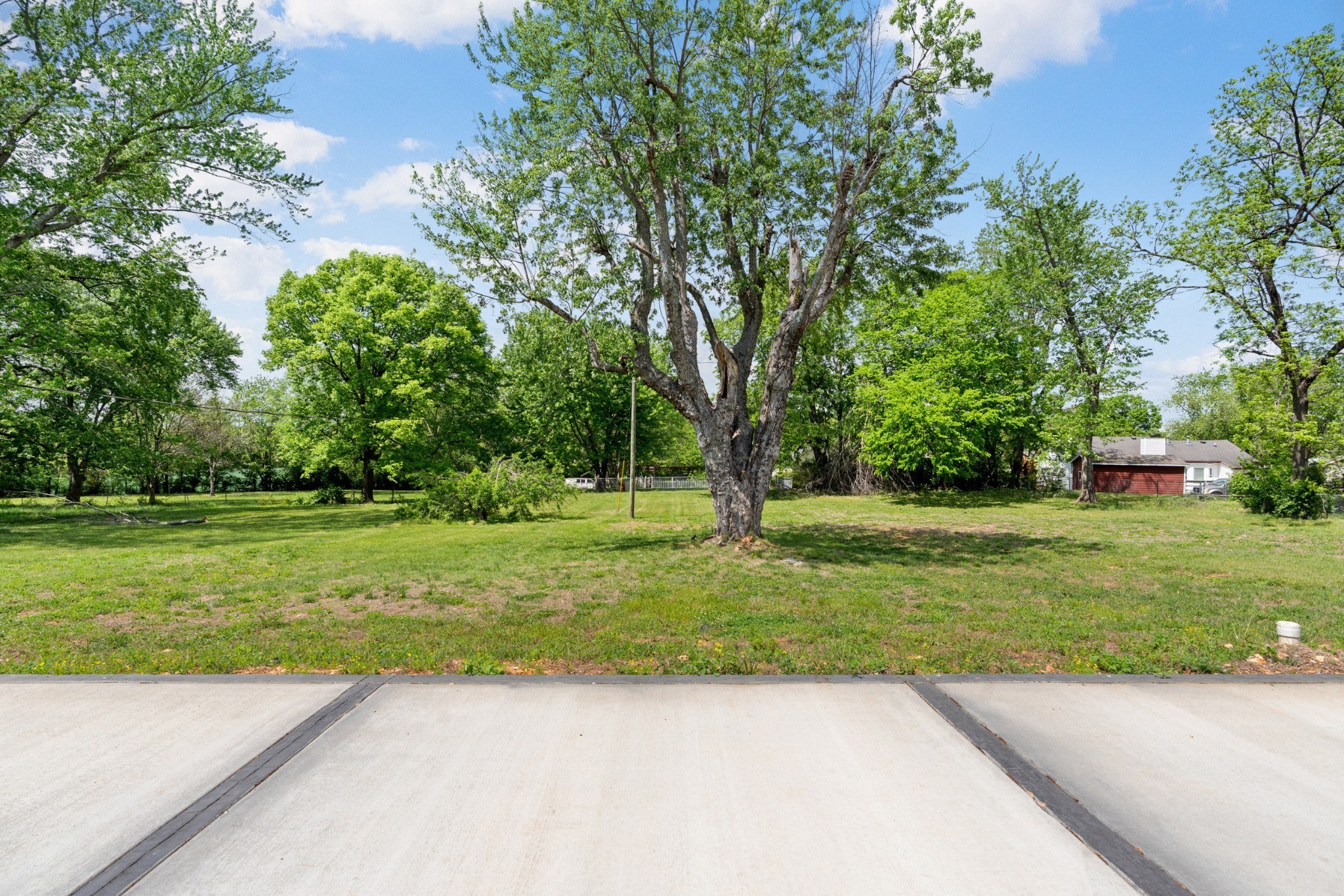 1503 5th Avenue West Springfield, TN 37172 - Photo 39 of 43 a view of a garden with a trees