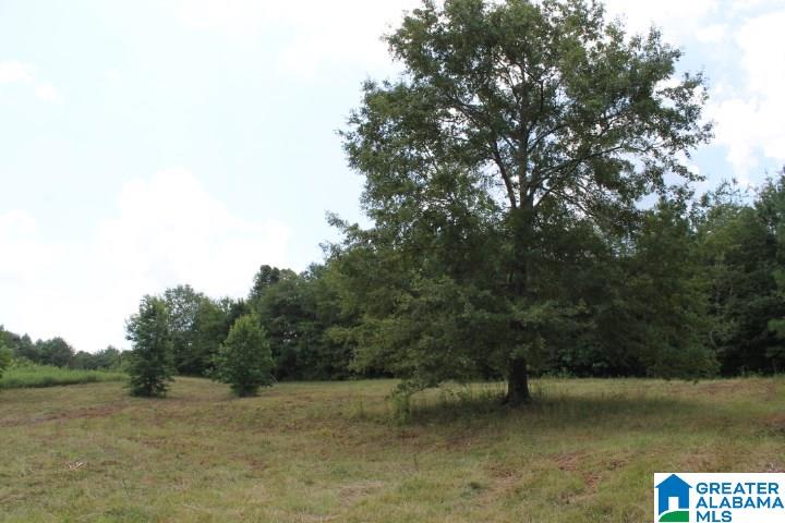 Bradford Road Lineville, AL 36266 - Photo 1 of 16
