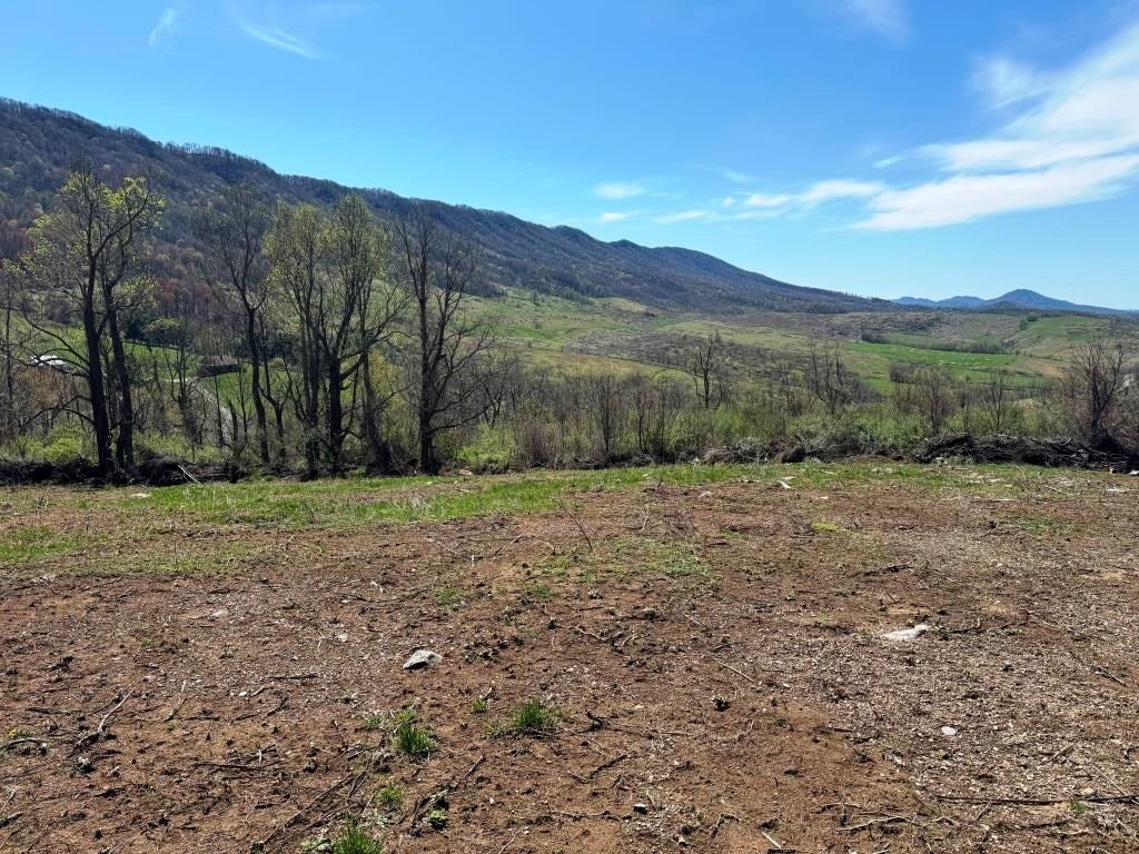 196-ac Gratton Road Tazewell, VA 24651 - Photo 23 of 29 Gallery Image 23