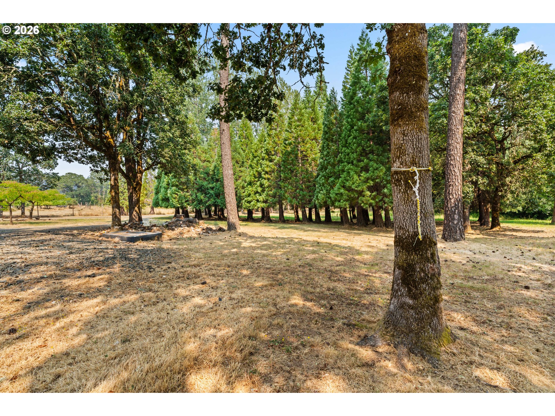 26266 Cory Road Junction City, OR 97448 - Photo 27 of 29 Gallery Image 27