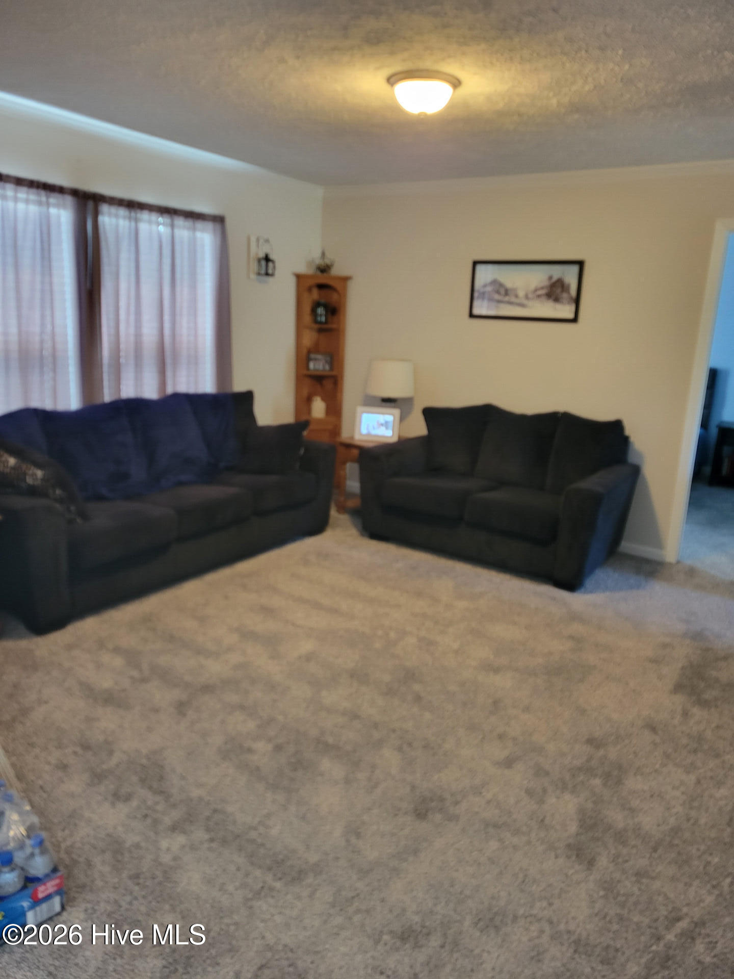 3729 Bryan Hardy Road La Grange, NC 28551 - Photo 18 of 29 3729BryanHardyRoad_68475_18