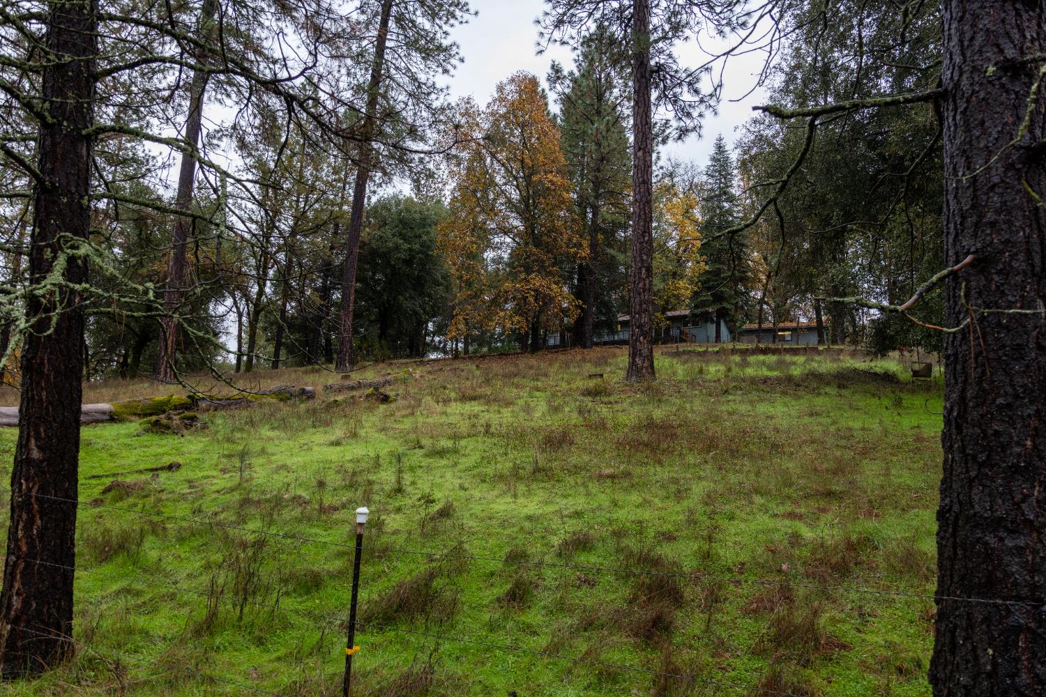 6100 Shasta Road Garden Valley, CA 95633 - Photo 38 of 39 a backyard of a house with lots of green space