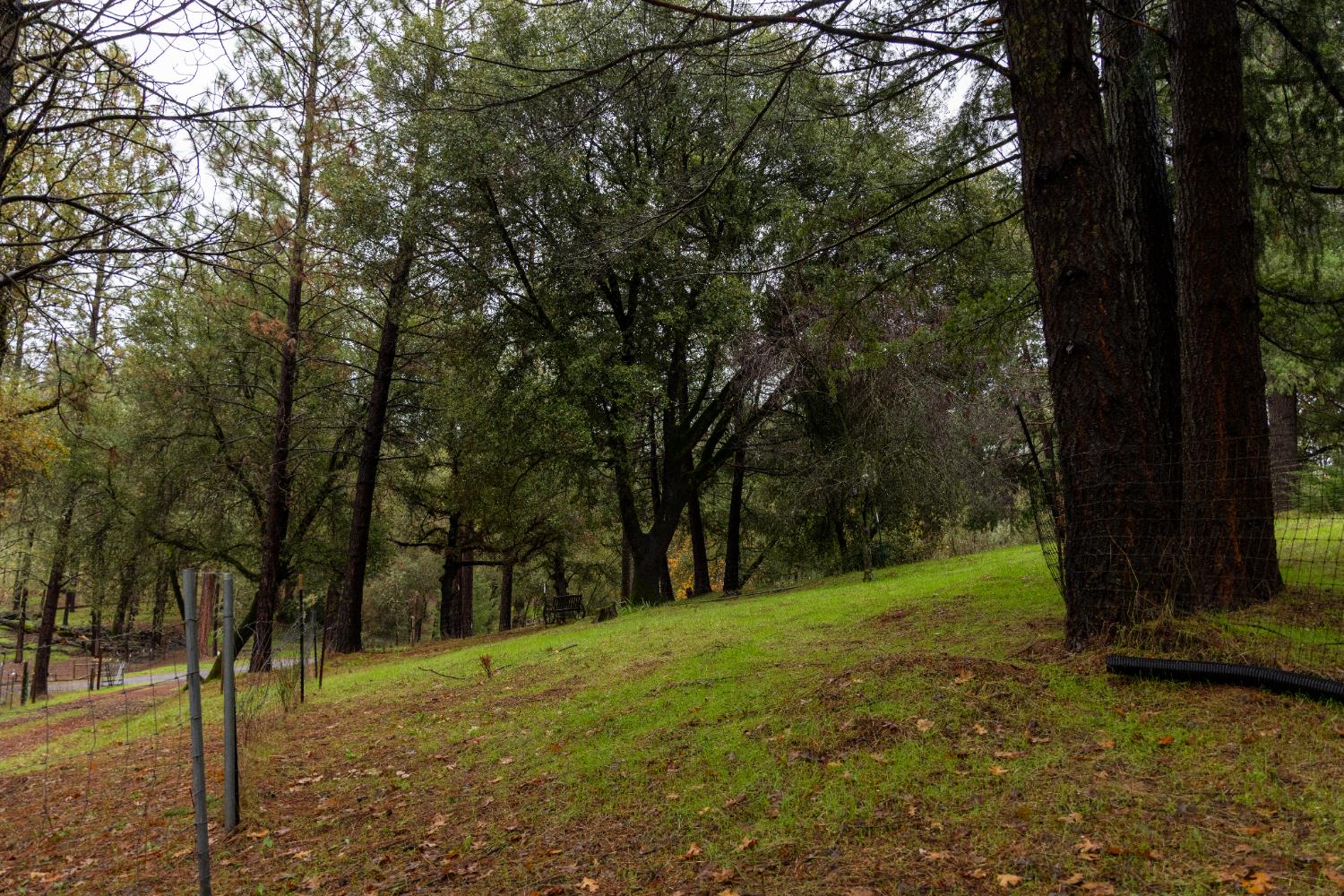 6100 Shasta Road Garden Valley, CA 95633 - Photo 10 of 39 a view of outdoor space with a garden