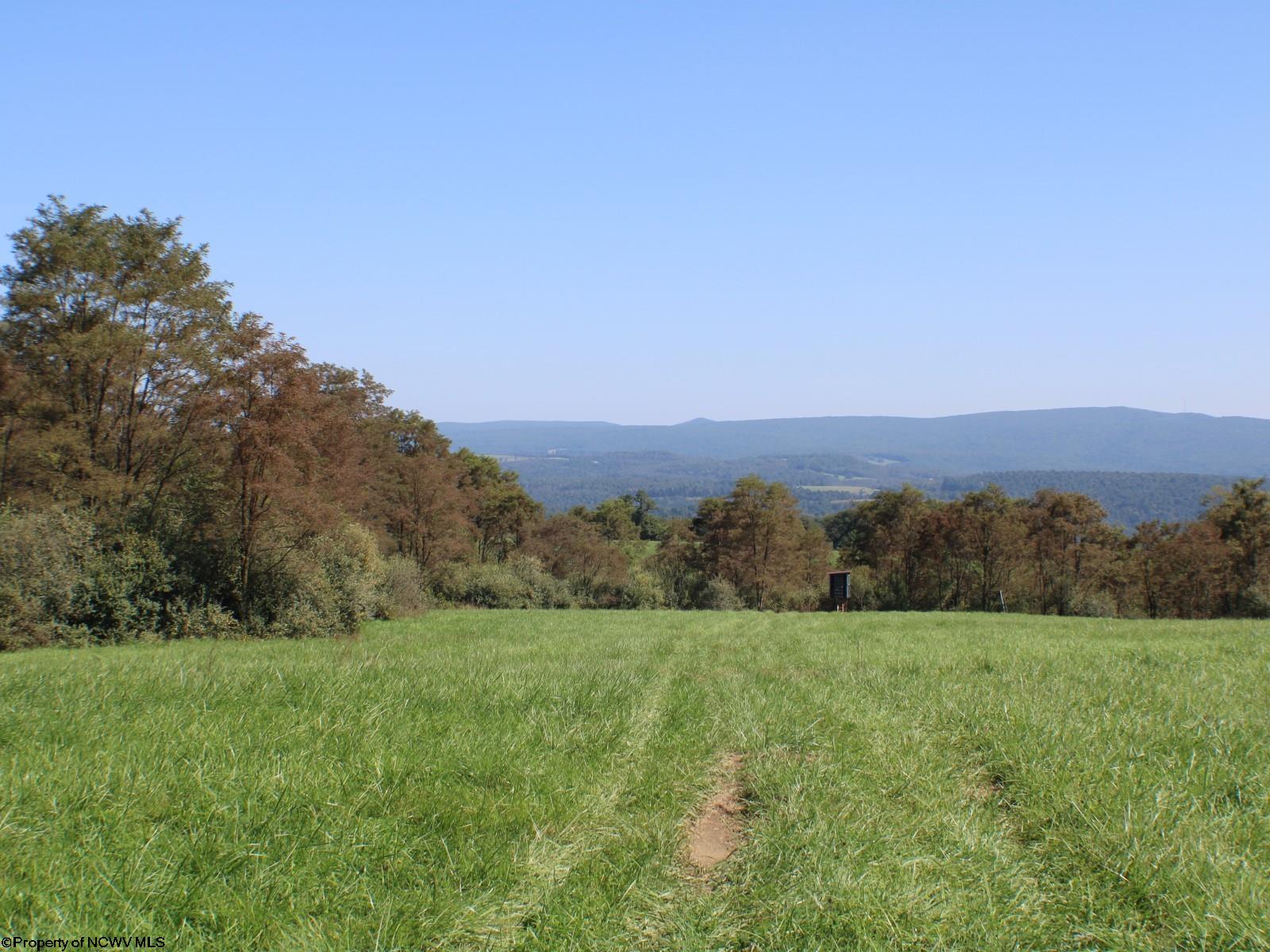 46.959-acres Beech Run Road Albright, WV 26519 - Photo 3 of 29 Gallery Image 3